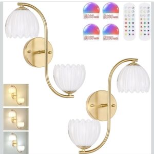 NIB 2-PACK SHENMOYI 2LIGHTS WALL SCONE VINYAGE BRASS